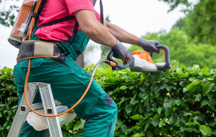 Dienstleistungen Garten